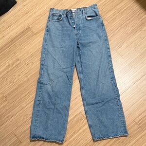 Agolde libertine low slung baggy jeans